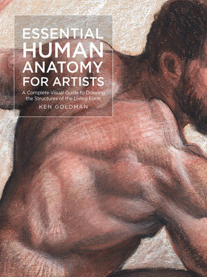 Essential Human Anatomy for Artists - ebook
